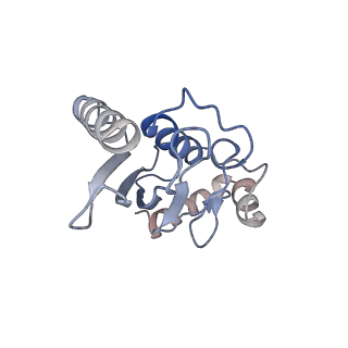 40608_8sn0_L_v1-2
Cryo-EM structure of the human nucleosome core particle in complex with RNF168 and UbcH5c~Ub (UbcH5c chemically conjugated to histone H2A. No density for Ub.) (class 5)