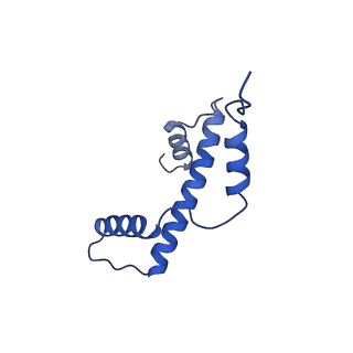 40609_8sn1_A_v1-1
Cryo-EM structure of the human nucleosome core particle in complex with RNF168 and UbcH5c~Ub (UbcH5c chemically conjugated to histone H2A. No density for Ub.) (class 6)