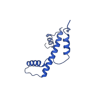 40609_8sn1_A_v1-2
Cryo-EM structure of the human nucleosome core particle in complex with RNF168 and UbcH5c~Ub (UbcH5c chemically conjugated to histone H2A. No density for Ub.) (class 6)