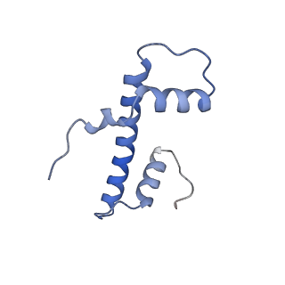 40609_8sn1_B_v1-2
Cryo-EM structure of the human nucleosome core particle in complex with RNF168 and UbcH5c~Ub (UbcH5c chemically conjugated to histone H2A. No density for Ub.) (class 6)