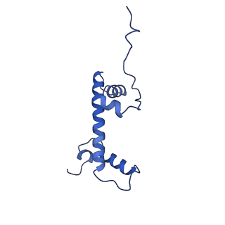 40609_8sn1_C_v1-1
Cryo-EM structure of the human nucleosome core particle in complex with RNF168 and UbcH5c~Ub (UbcH5c chemically conjugated to histone H2A. No density for Ub.) (class 6)