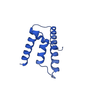 40609_8sn1_D_v1-2
Cryo-EM structure of the human nucleosome core particle in complex with RNF168 and UbcH5c~Ub (UbcH5c chemically conjugated to histone H2A. No density for Ub.) (class 6)