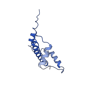 40609_8sn1_E_v1-1
Cryo-EM structure of the human nucleosome core particle in complex with RNF168 and UbcH5c~Ub (UbcH5c chemically conjugated to histone H2A. No density for Ub.) (class 6)