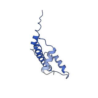 40609_8sn1_E_v1-2
Cryo-EM structure of the human nucleosome core particle in complex with RNF168 and UbcH5c~Ub (UbcH5c chemically conjugated to histone H2A. No density for Ub.) (class 6)