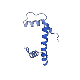 40609_8sn1_F_v1-1
Cryo-EM structure of the human nucleosome core particle in complex with RNF168 and UbcH5c~Ub (UbcH5c chemically conjugated to histone H2A. No density for Ub.) (class 6)