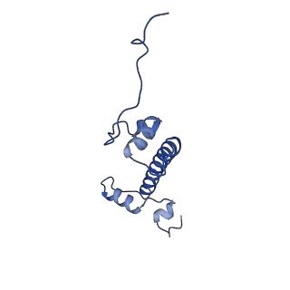 40609_8sn1_G_v1-1
Cryo-EM structure of the human nucleosome core particle in complex with RNF168 and UbcH5c~Ub (UbcH5c chemically conjugated to histone H2A. No density for Ub.) (class 6)