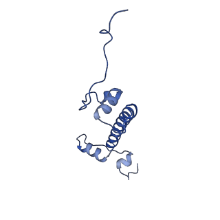 40609_8sn1_G_v1-2
Cryo-EM structure of the human nucleosome core particle in complex with RNF168 and UbcH5c~Ub (UbcH5c chemically conjugated to histone H2A. No density for Ub.) (class 6)