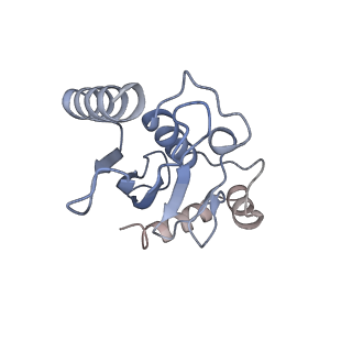 40609_8sn1_L_v1-2
Cryo-EM structure of the human nucleosome core particle in complex with RNF168 and UbcH5c~Ub (UbcH5c chemically conjugated to histone H2A. No density for Ub.) (class 6)