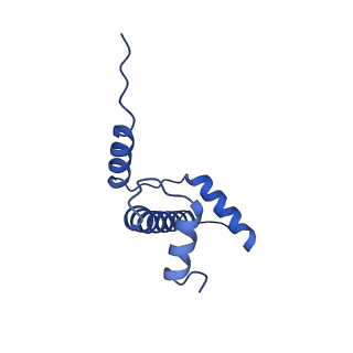 40610_8sn2_A_v1-2
Cryo-EM structure of the human nucleosome core particle in complex with RNF168 and UbcH5c (UbcH5c chemically conjugated to histone H2A)