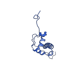 40610_8sn2_C_v1-1
Cryo-EM structure of the human nucleosome core particle in complex with RNF168 and UbcH5c (UbcH5c chemically conjugated to histone H2A)