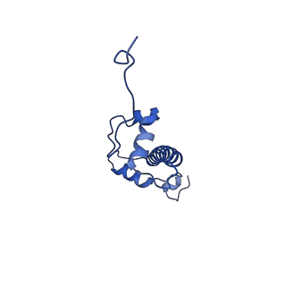 40610_8sn2_C_v1-2
Cryo-EM structure of the human nucleosome core particle in complex with RNF168 and UbcH5c (UbcH5c chemically conjugated to histone H2A)