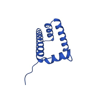 40610_8sn2_D_v1-2
Cryo-EM structure of the human nucleosome core particle in complex with RNF168 and UbcH5c (UbcH5c chemically conjugated to histone H2A)