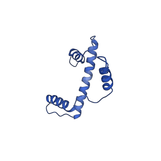 40610_8sn2_E_v1-1
Cryo-EM structure of the human nucleosome core particle in complex with RNF168 and UbcH5c (UbcH5c chemically conjugated to histone H2A)