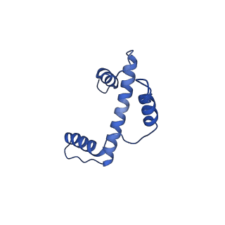 40610_8sn2_E_v1-2
Cryo-EM structure of the human nucleosome core particle in complex with RNF168 and UbcH5c (UbcH5c chemically conjugated to histone H2A)