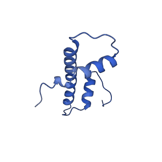 40610_8sn2_F_v1-2
Cryo-EM structure of the human nucleosome core particle in complex with RNF168 and UbcH5c (UbcH5c chemically conjugated to histone H2A)