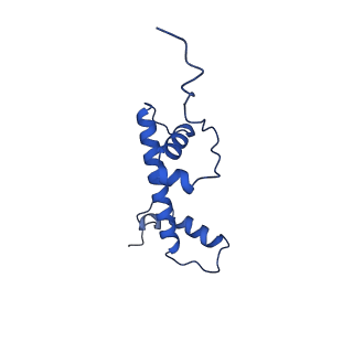 40610_8sn2_G_v1-1
Cryo-EM structure of the human nucleosome core particle in complex with RNF168 and UbcH5c (UbcH5c chemically conjugated to histone H2A)