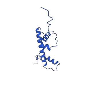 40610_8sn2_G_v1-2
Cryo-EM structure of the human nucleosome core particle in complex with RNF168 and UbcH5c (UbcH5c chemically conjugated to histone H2A)