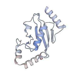 40610_8sn2_L_v1-1
Cryo-EM structure of the human nucleosome core particle in complex with RNF168 and UbcH5c (UbcH5c chemically conjugated to histone H2A)
