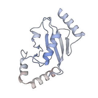 40610_8sn2_L_v1-2
Cryo-EM structure of the human nucleosome core particle in complex with RNF168 and UbcH5c (UbcH5c chemically conjugated to histone H2A)