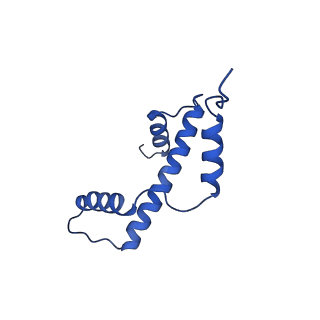 40611_8sn3_A_v1-2
Cryo-EM structure of the human nucleosome core particle in complex with RNF168 and UbcH5c~Ub (UbcH5c chemically conjugated to histone H2A) (class 1)