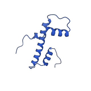 40611_8sn3_B_v1-2
Cryo-EM structure of the human nucleosome core particle in complex with RNF168 and UbcH5c~Ub (UbcH5c chemically conjugated to histone H2A) (class 1)