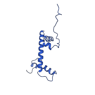 40611_8sn3_C_v1-1
Cryo-EM structure of the human nucleosome core particle in complex with RNF168 and UbcH5c~Ub (UbcH5c chemically conjugated to histone H2A) (class 1)