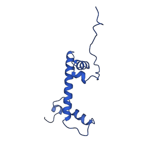 40611_8sn3_C_v1-2
Cryo-EM structure of the human nucleosome core particle in complex with RNF168 and UbcH5c~Ub (UbcH5c chemically conjugated to histone H2A) (class 1)