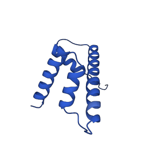 40611_8sn3_D_v1-2
Cryo-EM structure of the human nucleosome core particle in complex with RNF168 and UbcH5c~Ub (UbcH5c chemically conjugated to histone H2A) (class 1)