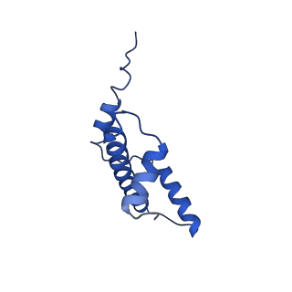 40611_8sn3_E_v1-1
Cryo-EM structure of the human nucleosome core particle in complex with RNF168 and UbcH5c~Ub (UbcH5c chemically conjugated to histone H2A) (class 1)