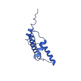 40611_8sn3_E_v1-2
Cryo-EM structure of the human nucleosome core particle in complex with RNF168 and UbcH5c~Ub (UbcH5c chemically conjugated to histone H2A) (class 1)