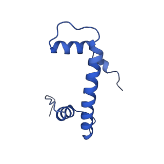 40611_8sn3_F_v1-2
Cryo-EM structure of the human nucleosome core particle in complex with RNF168 and UbcH5c~Ub (UbcH5c chemically conjugated to histone H2A) (class 1)