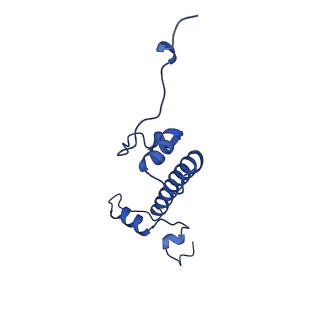 40611_8sn3_G_v1-2
Cryo-EM structure of the human nucleosome core particle in complex with RNF168 and UbcH5c~Ub (UbcH5c chemically conjugated to histone H2A) (class 1)