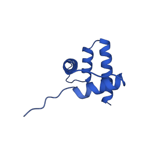 40611_8sn3_H_v1-2
Cryo-EM structure of the human nucleosome core particle in complex with RNF168 and UbcH5c~Ub (UbcH5c chemically conjugated to histone H2A) (class 1)