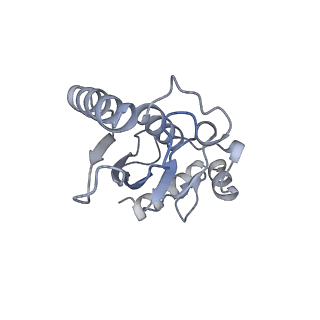 40611_8sn3_L_v1-1
Cryo-EM structure of the human nucleosome core particle in complex with RNF168 and UbcH5c~Ub (UbcH5c chemically conjugated to histone H2A) (class 1)