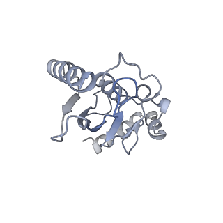 40611_8sn3_L_v1-2
Cryo-EM structure of the human nucleosome core particle in complex with RNF168 and UbcH5c~Ub (UbcH5c chemically conjugated to histone H2A) (class 1)