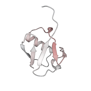40611_8sn3_M_v1-1
Cryo-EM structure of the human nucleosome core particle in complex with RNF168 and UbcH5c~Ub (UbcH5c chemically conjugated to histone H2A) (class 1)