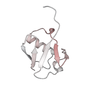 40611_8sn3_M_v1-2
Cryo-EM structure of the human nucleosome core particle in complex with RNF168 and UbcH5c~Ub (UbcH5c chemically conjugated to histone H2A) (class 1)