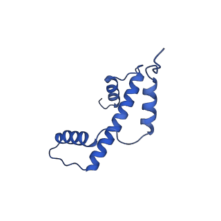 40612_8sn4_A_v1-2
Cryo-EM structure of the human nucleosome core particle in complex with RNF168 and UbcH5c~Ub (UbcH5c chemically conjugated to histone H2A) (class 2)