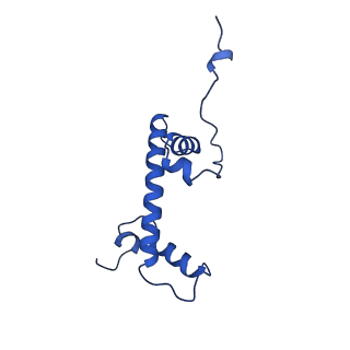 40612_8sn4_C_v1-1
Cryo-EM structure of the human nucleosome core particle in complex with RNF168 and UbcH5c~Ub (UbcH5c chemically conjugated to histone H2A) (class 2)