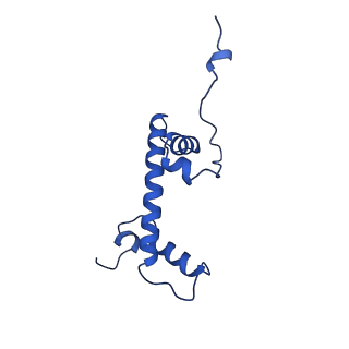 40612_8sn4_C_v1-2
Cryo-EM structure of the human nucleosome core particle in complex with RNF168 and UbcH5c~Ub (UbcH5c chemically conjugated to histone H2A) (class 2)