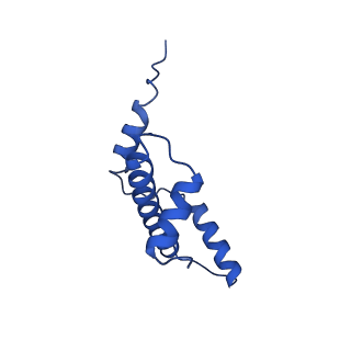 40612_8sn4_E_v1-1
Cryo-EM structure of the human nucleosome core particle in complex with RNF168 and UbcH5c~Ub (UbcH5c chemically conjugated to histone H2A) (class 2)