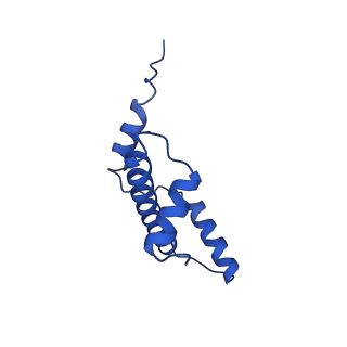 40612_8sn4_E_v1-2
Cryo-EM structure of the human nucleosome core particle in complex with RNF168 and UbcH5c~Ub (UbcH5c chemically conjugated to histone H2A) (class 2)