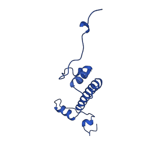 40612_8sn4_G_v1-2
Cryo-EM structure of the human nucleosome core particle in complex with RNF168 and UbcH5c~Ub (UbcH5c chemically conjugated to histone H2A) (class 2)