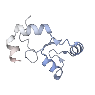 40612_8sn4_K_v1-2
Cryo-EM structure of the human nucleosome core particle in complex with RNF168 and UbcH5c~Ub (UbcH5c chemically conjugated to histone H2A) (class 2)