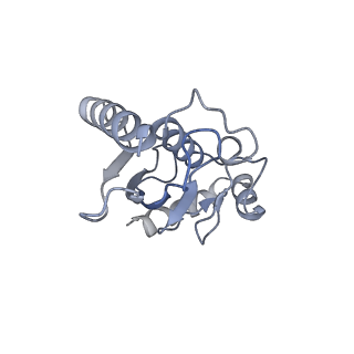 40612_8sn4_L_v1-1
Cryo-EM structure of the human nucleosome core particle in complex with RNF168 and UbcH5c~Ub (UbcH5c chemically conjugated to histone H2A) (class 2)