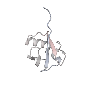 40612_8sn4_M_v1-2
Cryo-EM structure of the human nucleosome core particle in complex with RNF168 and UbcH5c~Ub (UbcH5c chemically conjugated to histone H2A) (class 2)