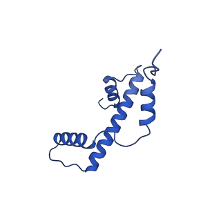 40613_8sn5_A_v1-1
Cryo-EM structure of the human nucleosome core particle in complex with RNF168 and UbcH5c~Ub (UbcH5c chemically conjugated to histone H2A) (class 3)