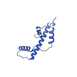 40613_8sn5_A_v1-2
Cryo-EM structure of the human nucleosome core particle in complex with RNF168 and UbcH5c~Ub (UbcH5c chemically conjugated to histone H2A) (class 3)