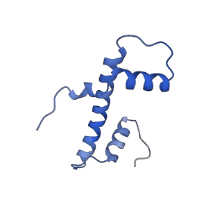 40613_8sn5_B_v1-2
Cryo-EM structure of the human nucleosome core particle in complex with RNF168 and UbcH5c~Ub (UbcH5c chemically conjugated to histone H2A) (class 3)