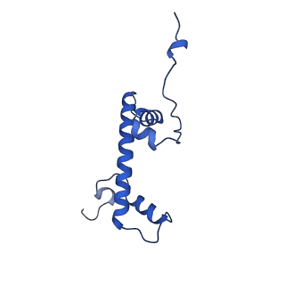 40613_8sn5_C_v1-1
Cryo-EM structure of the human nucleosome core particle in complex with RNF168 and UbcH5c~Ub (UbcH5c chemically conjugated to histone H2A) (class 3)